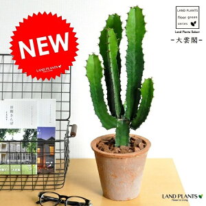 T{ei_tF_CEJNj F X|bg g[ Eh^ JN^X  A T{e_CEJN eRb^ f  uE IW  ϗtA ϗt 