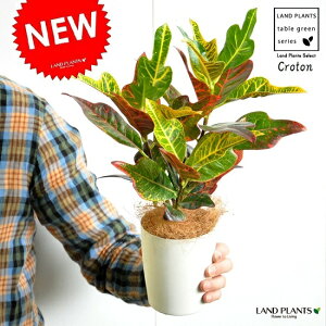 yzNgiGNZgj 4 F vX`bN ϗt؁iwE{Nj gE_COT@oRjXg@hV̓@|Cg@ϗtA