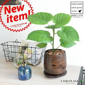 Ex[^ Ebh yCg픫 STCYio[N`bvj yϗtAz@FEuEE픫EAؔ