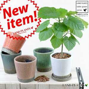 Iׂ6F@Ex[^@tXg[픫@@yϗtAz@5E6