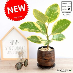 AeV[} Ebh yCg 픫 STCY yVRӐ΁EMz AeBV} oGK[^  Ft  A  F uE ؖ