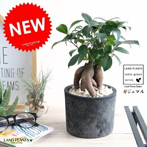 KW} i^Cvj F X|bg V_[^ eRb^ yVRӐ΁Eĕz K炷 K̎  ܂̖ lQ f A  c c ubN  O