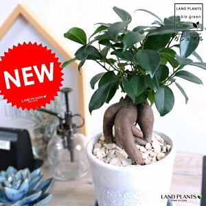 KW} ij N[^H ֖򓩊픫 iWHITEj yVRӐ΁EMEĕz K炷 K̎  ܂̖ A   zCg DF c  ϗtA   