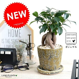 KW}i^Cvj N[^H ֖򓩊픫iJ[LFj yVRӐ΁EMEĕz K炷 K̎  ܂̖ A  J[L[ yF x[W c  