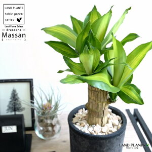 hZii}bTj F X|bg V_[^ eRb^ yVRӐ΁Eĕz}bTQAi }bTMAi E[c A  f  c c ubN  D O