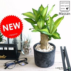 hZii}bTj F X|bg V_[^ eRb^ yVRӐ΁Eĕz}bTQAi }bTMAi E[c A  f  c c ubN  D O