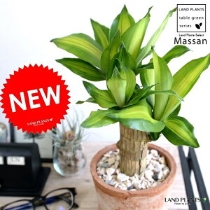 K̎ hZii}bTj F X|bg V_[^ eRb^ yVRӐ΁Eĕz}bTQAi }bTMAi E[c A  f  c c IW 