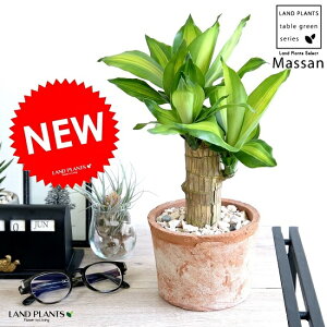 hZii}bTj F X|bg V_[^ eRb^ yVRӐ΁Eĕz}bTQAi }bTMAi E[c A  f  c c IW  uE