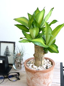 K̎ hZii}bTj F X|bg V_[^ eRb^ yVRӐ΁Eĕz}bTQAi }bTMAi E[c A  f  c c IW 