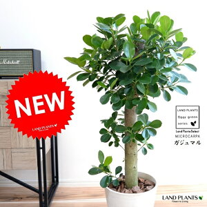 KW} ipdāj F ZA[g ̑ K炷 삪Zޖ ^  A    zCg ϗtA }[V