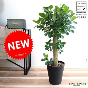 KW} ipdāj F ZA[g ̑ K炷 삪Zޖ ^  A    ubN ϗtA }[V