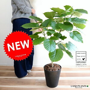 yIz Ex[^iR`j F ZA[g 8 A ^ ϗtA yMtgzz8   ubN 