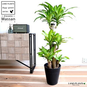 K̖ hZi i}bTF4{dāj 8 F ZA[g yo[N`bvEMz hZi}bT }bTQAi MAi A    ubN ϗtA K̎ 