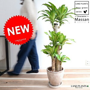 K̖ hZi i}bTF4{dāj F GbO^ Eh 픫 hZi}bT }bTQAi MAi eRb^ A    uE x[W F ϗtA K