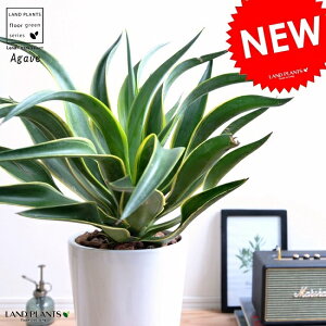 AKx (xlYG) F g[ 픫 (X^) LTCY A   zCg  ^ ϗtA  AG E[c JtHjA 㗖 AKy AKF