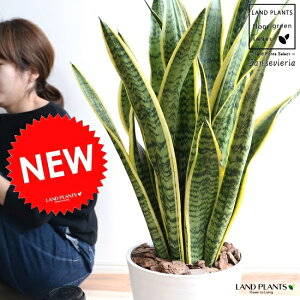 TXxA i[eB[j F ZA[g 8 A  c c TZxA  zCg Eh  ϗtA 