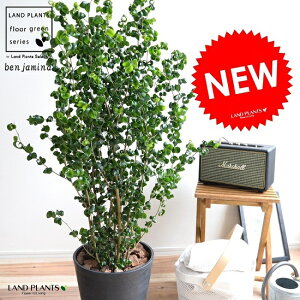 xW~ obN iFj ZA[g 8 A  c c ^ ϗtA  ubN Eh  