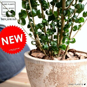 xW~iobNj GbOEh 픫 F 8 A  c c ^ ϗtA  uE F x[W Eh  