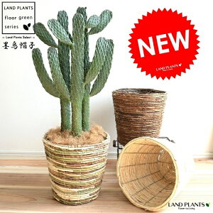 yIׂ3Fz T{e nGXqiX~G{Vj 3{ oii[t oXPbg 3J[ A E`T{e ^  c c  Eh ϗtA 