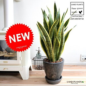 TXxA i[eB[j F GbO^ Eh픫 A ^  c c TZxA  ubN DF Eh  ϗtA 