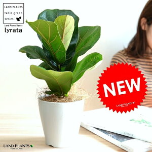 yz JVoS F vX`bN 4 tBJX [^ A  c c ϗtA  zCg ˂  Eh