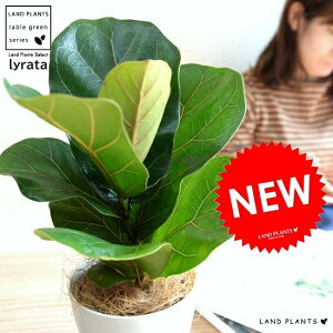 JVoS 4 F vX`bN tBJX [^ A  c c ϗtA  zCg ˂  Eh