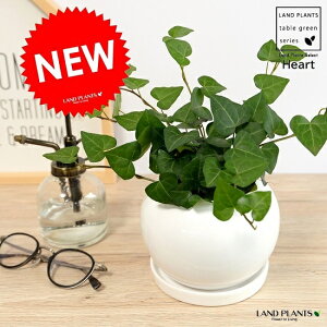 観葉植物 ハートの人気商品 通販 価格比較 価格 Com