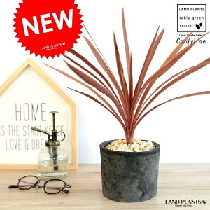 RfBlibhX^[j F X|bg V_[ 픫 yVRӐ΁z ubN A  c c  eRb^ ی`  ubN  O[ DF  RP ϗtA oRj