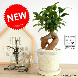 KW}i^Cvj ₳F 픫 iFj A 픫  c c zCg   Eh@ϗtA 