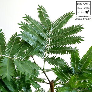 Go[tbV iR`j 8 ZA[g iFj A  c c ^ ϗtA   ubN  Eh v AJTlmL