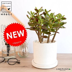 PԌiqIESJQcj F V_[^ 픫 Ԍ JQc  A A  c c ϗtA   zCg N[  Eh A