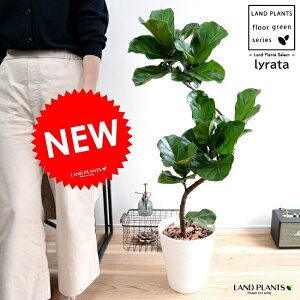 JVoSi3DJ[uȂj F ZA[g 8 yo[N`bvEMEĕztBJX [^ or[m A  c c v vX`bN  zCg ^ ϗtA 