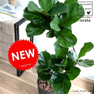 JVoSi3DJ[uȂj F ZA[g 8 yo[N`bvEMEĕztBJX [^ or[m A  c c v vX`bN  ubN ^ ϗtA 