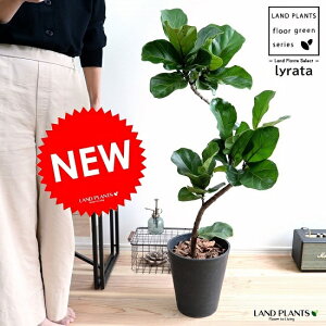 JVoSi3DJ[uȂj F ZA[g 8 yo[N`bvEMEĕztBJX [^ or[m A  c c v vX`bN  ubN ^ ϗtA 