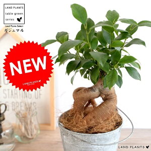 KW} i^Cvj t oPc^ Jo[ A  Ȃ c c ϗtA Jo[ uL  DF D O[ A~  Eh