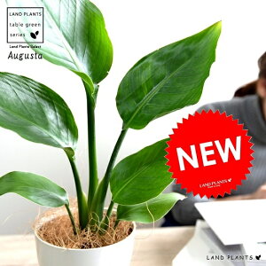 yz@I[KX^ F vX`bN 4 Xg`A jRC Xg`A V̔ A c c ϗtA  zCg  Eh