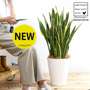 TXxAi[`j 10 ZA[g F yRRt@Co[EvMEĕz  A Aؔ vX`bN v TZxA Ղ̔ g̔ gmI TX TZ  