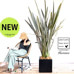 j[TC 10 t@Co[ L[u^ 픫 F yRRt@Co[EvMEĕz FRP  ubN tH~E eibNX NbLAi A   ^  ڔ ϗt