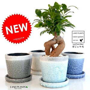 yIׂ4Fz KW}i^Cvj ₳F 픫 ie1Fj A 픫  c c F F F DF Eh@ϗtA 