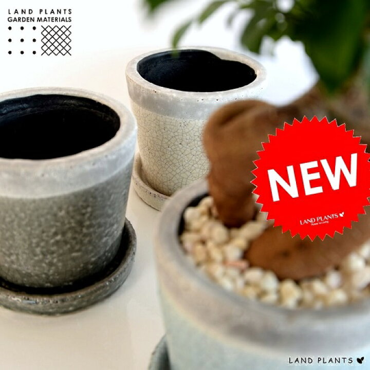 楽天市場 選べる4色 やさしい色合い ツートン 貫入釉薬 陶器鉢 鉢の販売 鉢底石 鉢底ネット付属 鉢植え 陶器 陶器鉢 鉢 苗 苗木 植木鉢 青色 水色 白色 灰色 ラウンド 観葉植物 植物の付属なし Land Plants 楽天市場店