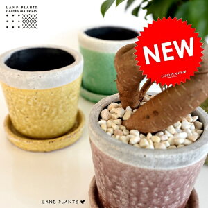 yIׂ4Fz ₳F c[g ѓ֖ 픫ie1Fj y̔̔zy΁Elbgtz A  픫  c c Aؔ F ΐF ԐF F Eh ϗtA 