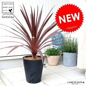 RWlibhX^[j F ZA[g 8 A RfBl ^ c c ϗtA   ubN  Eh hZi Zl{N