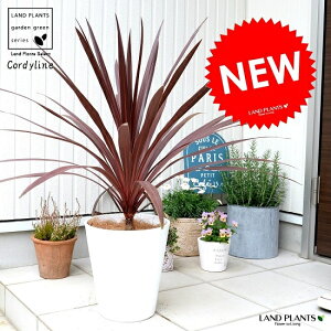 RWlibhX^[j F ZA[g 8 A RfBl ^ c c ϗtA   zCg  Eh hZi Zl{N