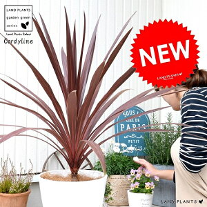 RfBlibhX^[j ZA[g 8 F A RWl ^ c c ϗtA   zCg  Eh hZi Zl{N