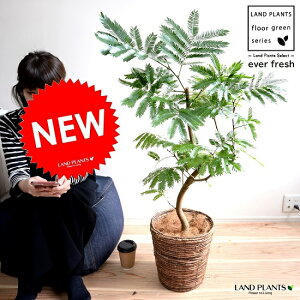 Go[tbV iR`j oii[t oXPbg iFj A  c c ^ ϗtA   uE   Eh v AJTlmL