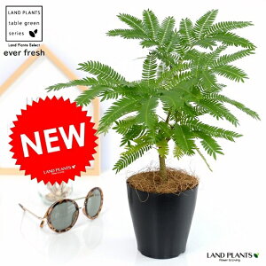 y󏭁zyz Go[tbV F vX`bN 4 A  c c ϗtA1 lmL v  ubN Eh  ی` ۔