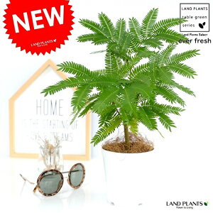 y󏭁zyz Go[tbV F vX`bN 4 A  c c ϗtA1 lmL v zCg  Eh  ی` ۔