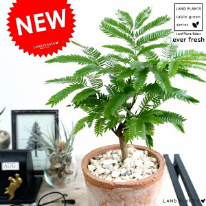 Go[tbV iFjX|bg V_[^ eRb^ yVRӐ΁z IW A  c c ϗtA  ۔ A  f  uE IW