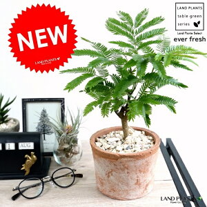 Go[tbV iFjX|bg V_[^ eRb^ yVRӐ΁z IW A  c c ϗtA  ۔ A  f  uE IW