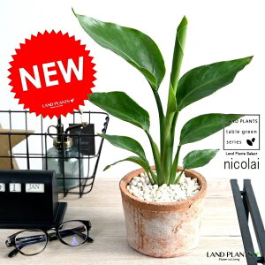 I[KX^ iFjX|bg V_[^ eRb^ Xg`A jRC Xg`A V̔ A c c ϗtA  uE IW  Eh  픫 f 